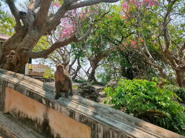 Hilltop Palaces and Sneaky Monkeys at Khao Wang