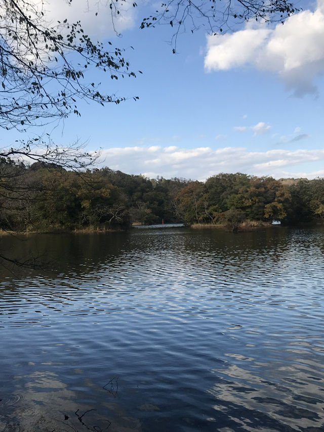 【静岡県　伊東市　一碧湖のゴールデンサンセット】