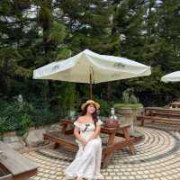 🍋🌿 คาเฟ่ลับๆเขาใหญ่ Lecino Backyard Cafe