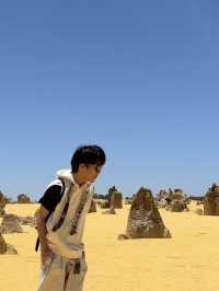 🪨 Pinnacles Desert – Western Australia’s Alien Landscape 🌌🛸