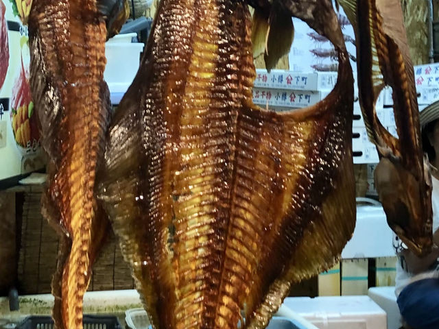 小樽のレトロな駅舎🚂と新鮮な海産物🦀🐚🐟 【とっても素敵🥰💖】