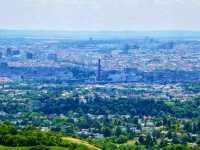 Kahlenberg, Vienna: The City’s Most Breathtaking Viewpoint 