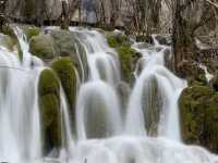 Earthquake’s Epilogue: The Phantom Forests Of Jiuzhaigou’s Most Unstable Waters 
