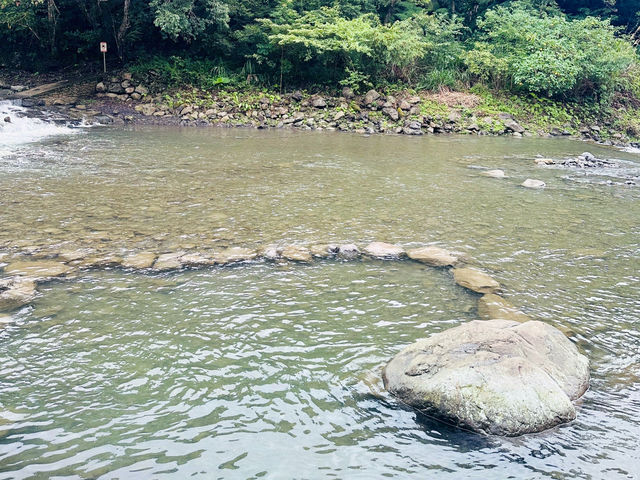 桃園安全水域🫧宇內溪戲水區🫧