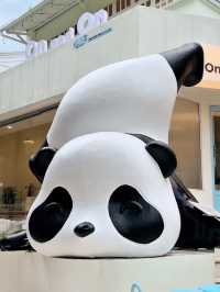 หมีแพนด้าตัวอ้วนที่ On and On Cafe