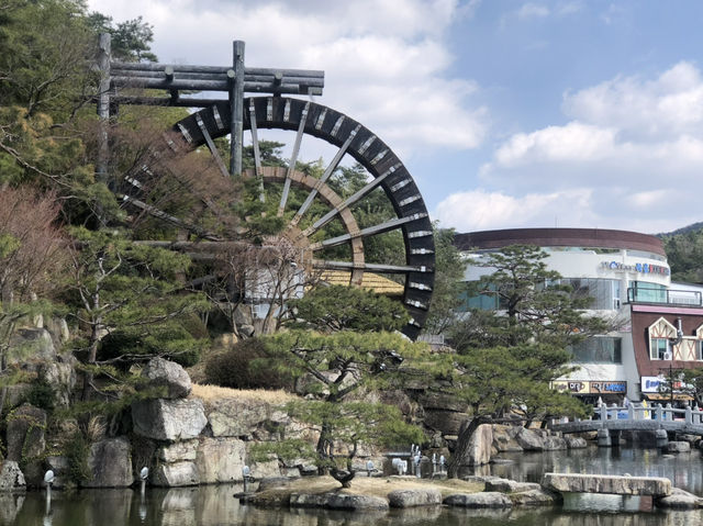 🌊釜山與大邱雙城漫遊｜入住SOLARIA HOTEL✨