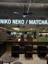 Zen in a Cup – Niko Neko, The Campus Ampang