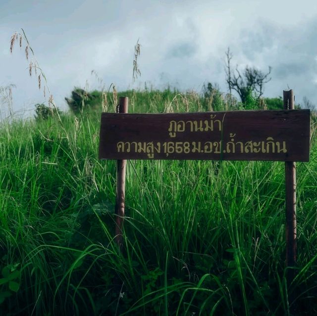 ภูอานม้า อ.เชียงคำ จ.พะเยา