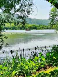 Maojiabu: Hangzhou’s Hidden Lakeside Sanctuary