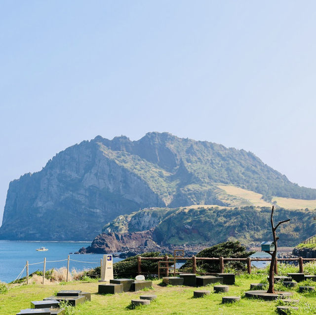 An Authentic Glimpse of Jeju's Untamed Shores