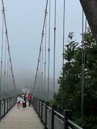 The Amazing Gateway to Heaven – Discover Tianmen Cave