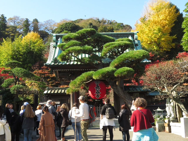 1 DAY TRIP IN KAMAKURA
