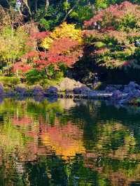 🍁紅葉と異国の風景を歩く秋の横浜散歩　中区　関内　横浜
