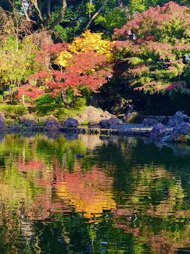 🍁紅葉と異国の風景を歩く秋の横浜散歩　中区　関内　横浜