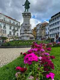 🌿 Botanical Garden of the University of Coimbra: A Living Lab of Peace and Science 