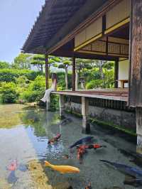 縁側と池がひとつになる、四季映える湧水庭園🌿🏯