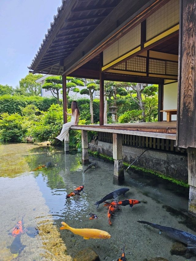 縁側と池がひとつになる、四季映える湧水庭園🌿🏯