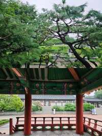 Namsangol Hanok Village