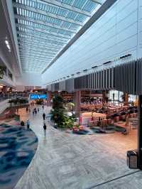 Changi Airport: A World-Class Gateway of Wonders