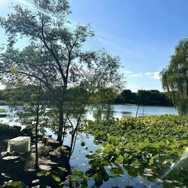 🏯 Let’s Go to the "Garden of a Thousand Gardens" (万园之园) – The Ruins of Yuanmingyuan, Beijing’s Lost