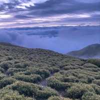 Chasing Peaks and Clouds at Qilai Nanhua
