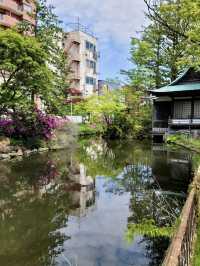 A serene and historic Shinto shrine located near Aomori Bay