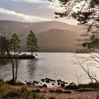 Mystic Reflections: A Day at Loch An Eilein