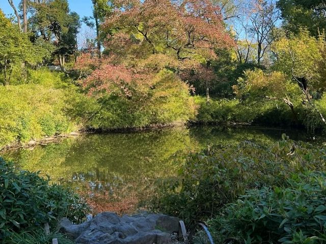 The Humble Administrator’s Garden through the lens The Humble Administrator’s Garden through the lens
