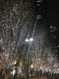 🌲2020年 東京丸の内クリスマスツリー と2025年に乞うご期待❣️