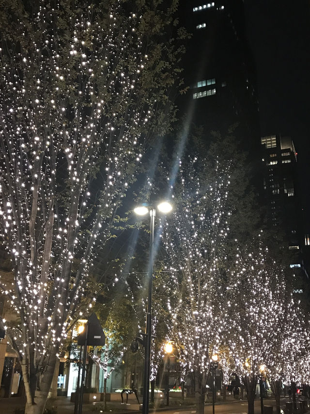🌲2020年 東京丸の内クリスマスツリー と2025年に乞うご期待❣️