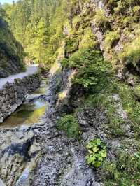 Pink Meadows & Cloud-Kissed Peaks: Zakopane’s Quiet Spell 