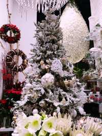 ✨ 丸の内クリスマス記録と2025 予測: 花と光の饗宴からマリオと共に彩る冬へ
