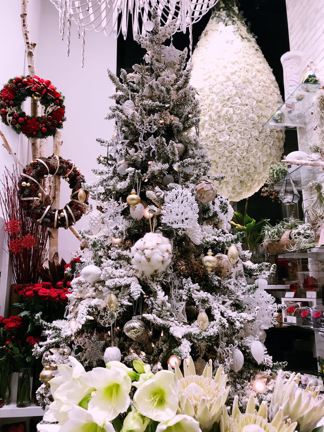 ✨ 丸の内クリスマス記録と2025 予測: 花と光の饗宴からマリオと共に彩る冬へ