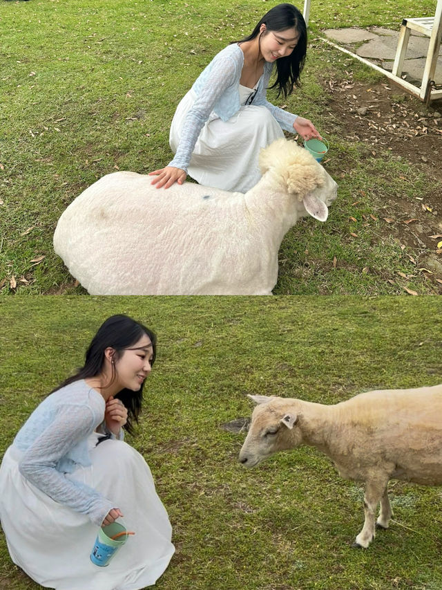 힐링과 도전이 함께한 나의 “제주도” 순간 힐링과 도전이 함께한 나의 “제주도” 순간