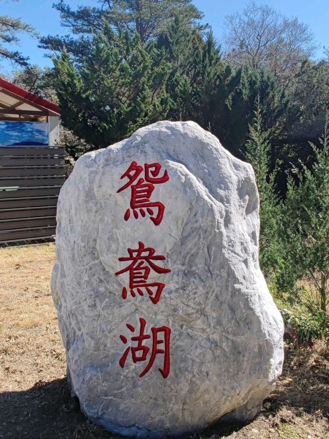 只羨鴛鴦不羨仙#鴛鴦湖-台中市和平區 只羨鴛鴦不羨仙#鴛鴦湖-台中市和平區