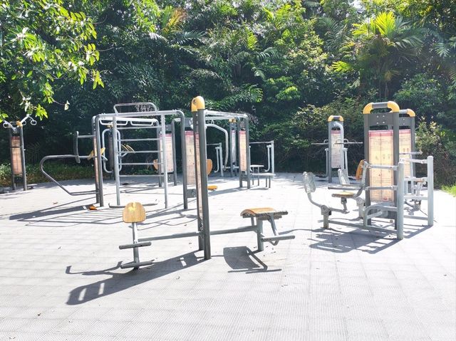 深圳｜深圳灣公園