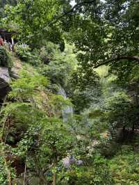 Trekking in beautiful Moganshan mountain 莫干山