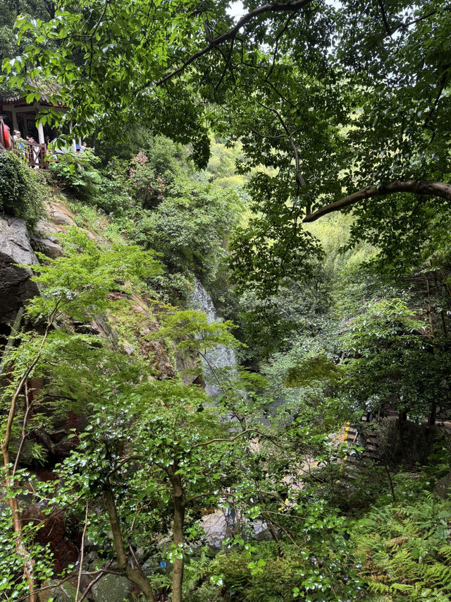 Trekking in beautiful Moganshan mountain 莫干山