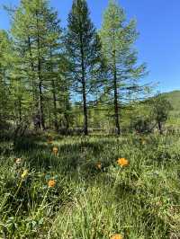 Reindeer Herders’ Village – Taiga, Mongolia