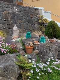 Tsi Ming Temple – A Serene Chinese Buddhist Retreat in New Zealand
