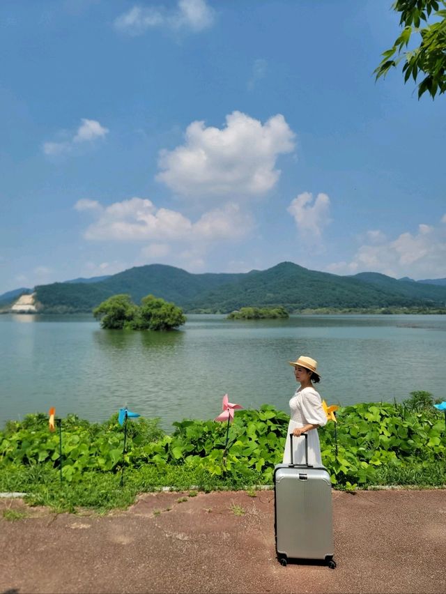 내장산뷰가 힐링였던 정읍 야외 나들이코스💚