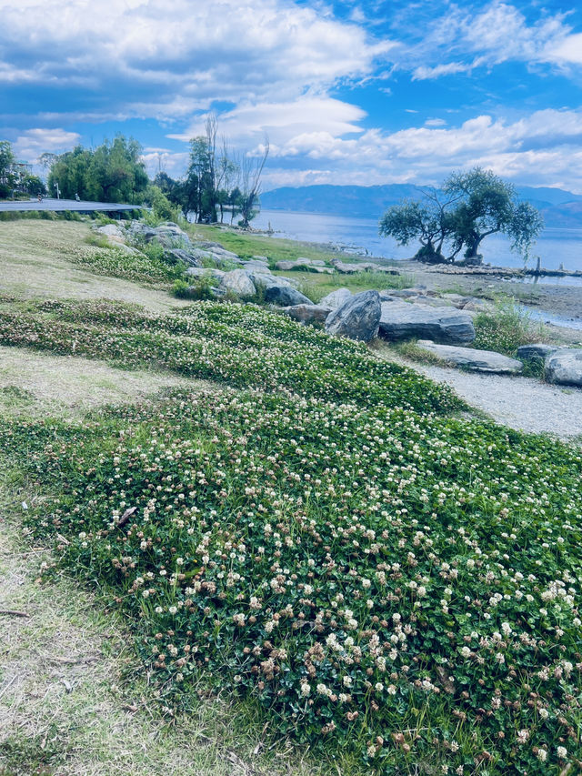 Dali's Magic: From Illuminated Nights to Tranquil Mornings at Erhai Lake( Spring Edition)