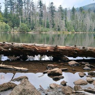 Černé jezero (검은 호수)