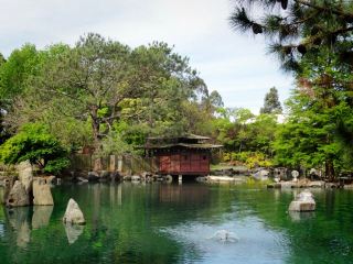 Auburn Japanese Garden: A Zen Oasis in the City