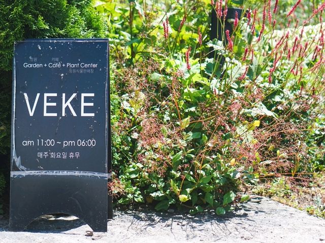 🇰🇷 제주 카페 베케(VEKE, 서귀포) 🌿✨
