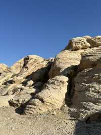The Petra Museum