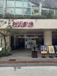 【沖縄・那覇】街歩きで楽しむ1日プラン🐾☕🎬