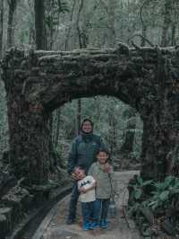 Mount Kinabalu Botanical Garden – A Hidden Gem at the Foot of the Mountain