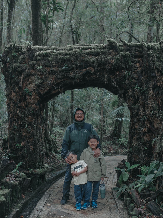 Mount Kinabalu Botanical Garden – A Hidden Gem at the Foot of the Mountain