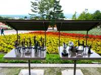 Farm Tomita Hokkaido
